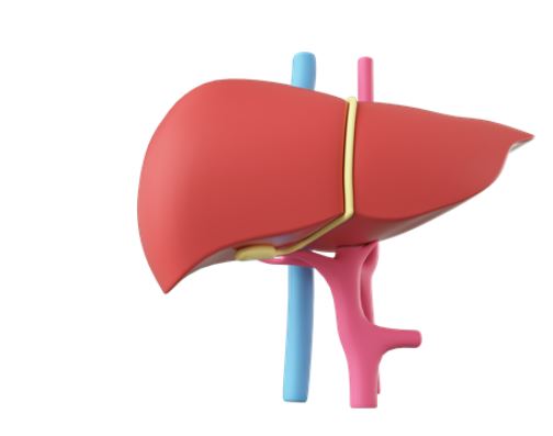 알부민-영양제-추천