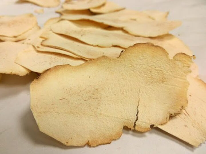 건조한-토복령-사진