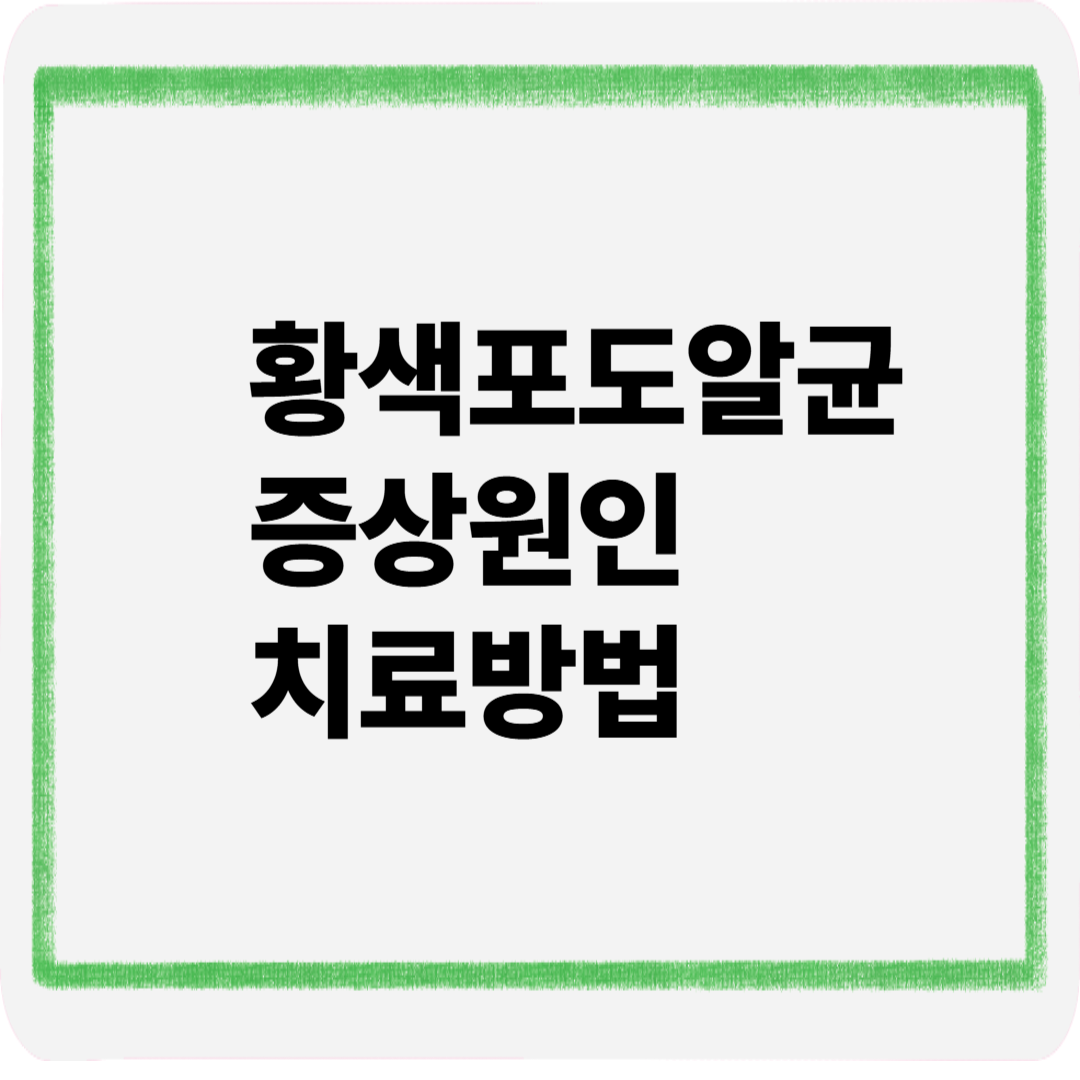 황색포도알균증상원인치료방법
