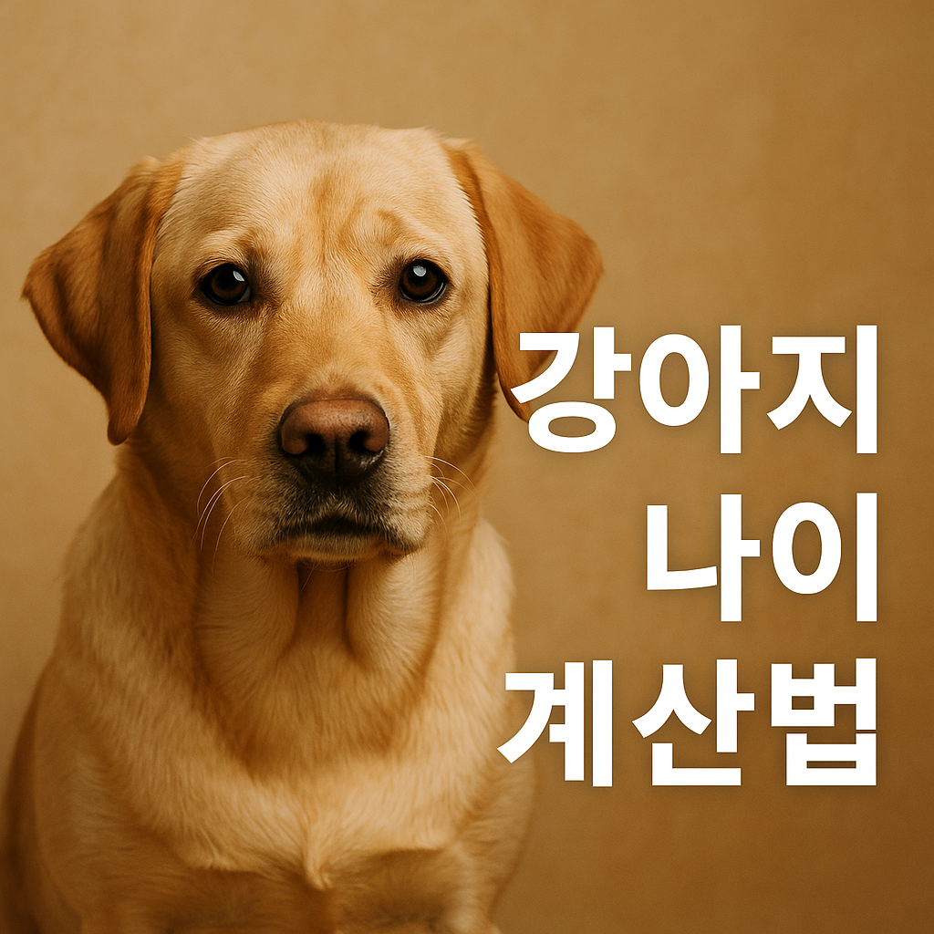 강아지 나이 계산법