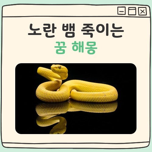 노란 뱀 죽이는 꿈 해몽 대표 이미지