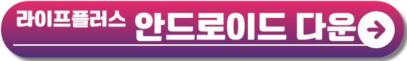 2024 여의도 불꽃축제