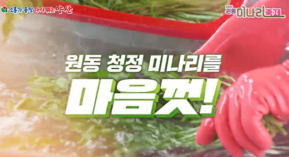 원동 미나리 삼겹살