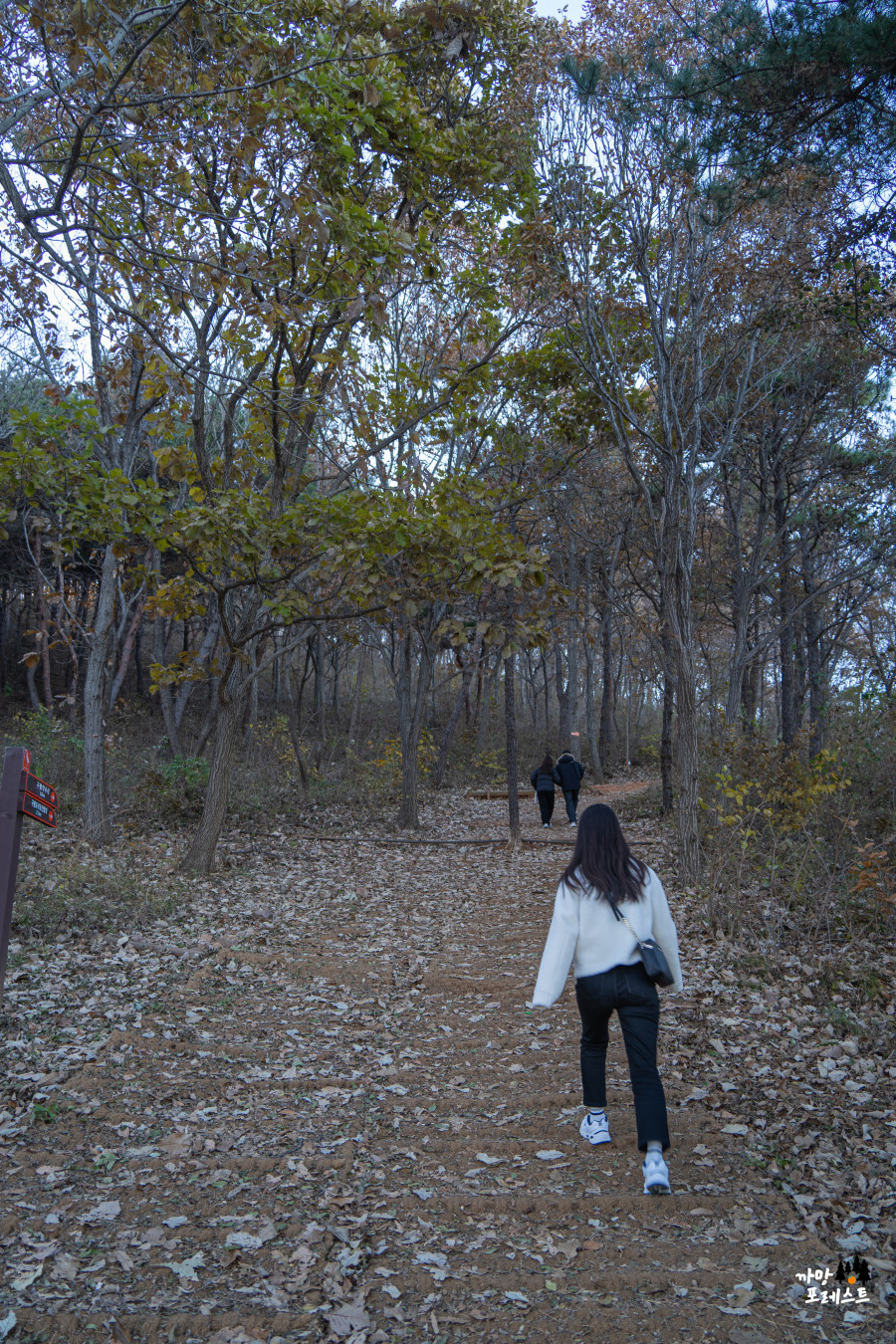 안산 구봉도 대부해솔길