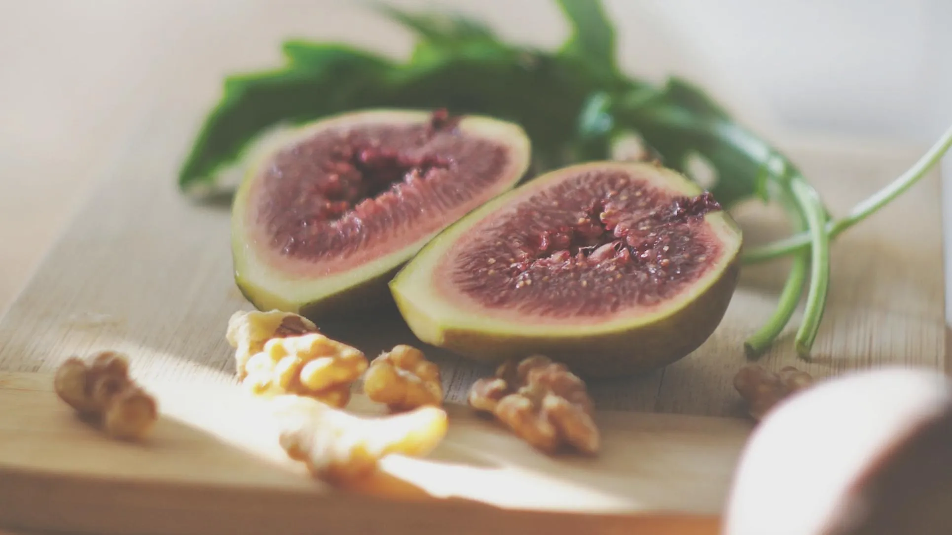 삼백초 효능