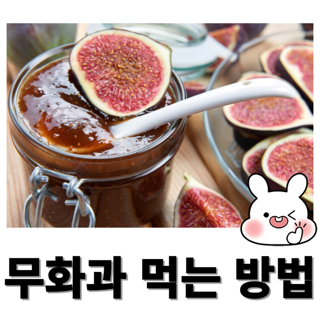 무화과와 관련된 사진입니다.