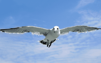 제주도 가볼만한곳 10곳