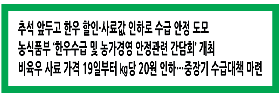 Alt 속성 문제 해결 설명 이미지