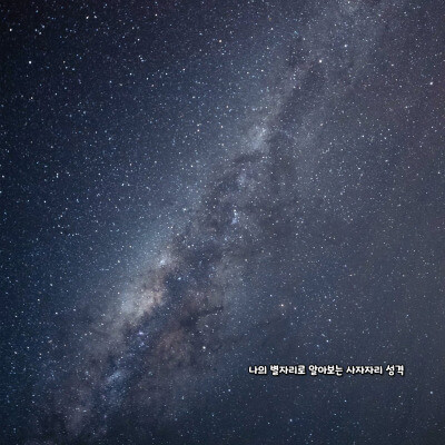 나의 별자리로 알아보는 사자자리 성격