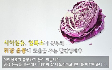 체했을때 증상 체했을때 지압법, 먹으면 좋은 음식 빨간양배추 요리