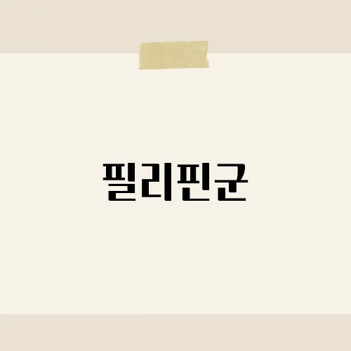 필리핀군, 열도 대신 반전 전력 지녔다?