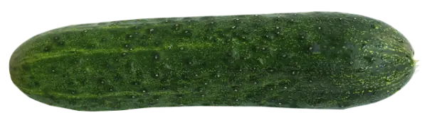 오이지 담그는 방법