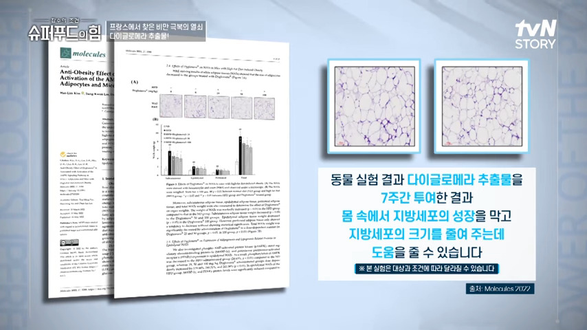 미리세틴&amp;#44; 루테올린