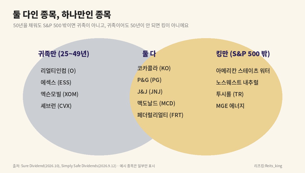 배당귀족만, 둘 다, 배당킹만 해당하는 대표 종목을 벤다이어그램으로 나눈 그림