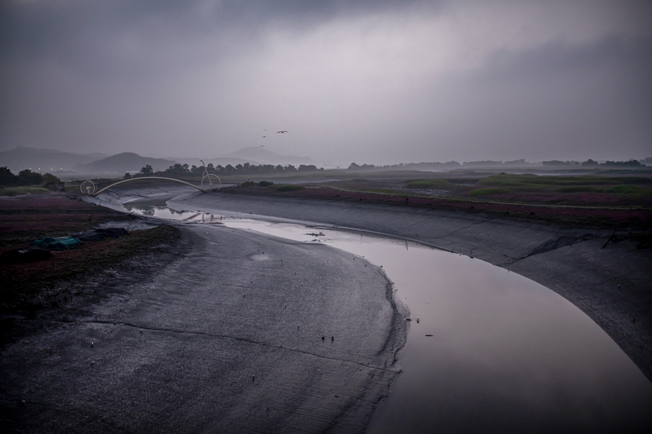 미생의 다리 일출바로전
