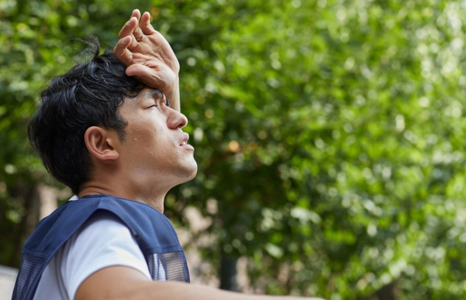 장마와 폭염으로 인한 여름철 살아내기