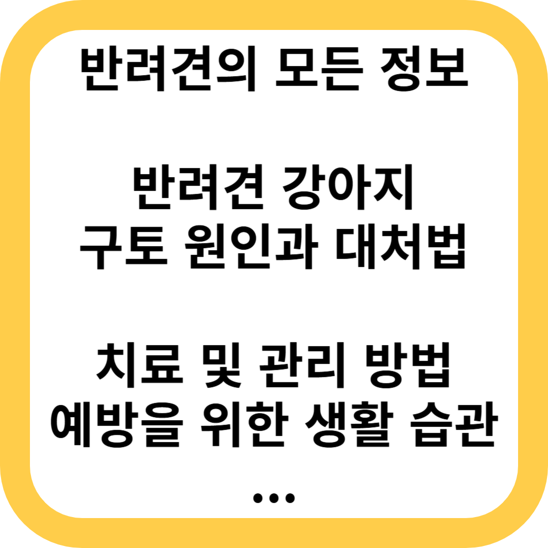 반려견 구토 원인과 대처법