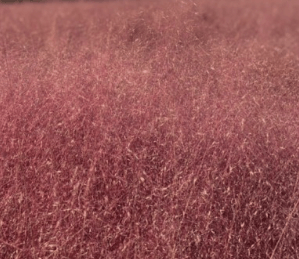 가을여행 단풍 기차여행 추천