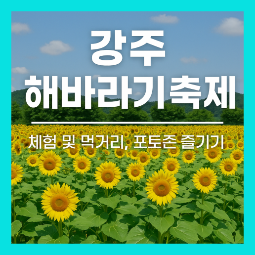 강주 해바라기 축제 가이드