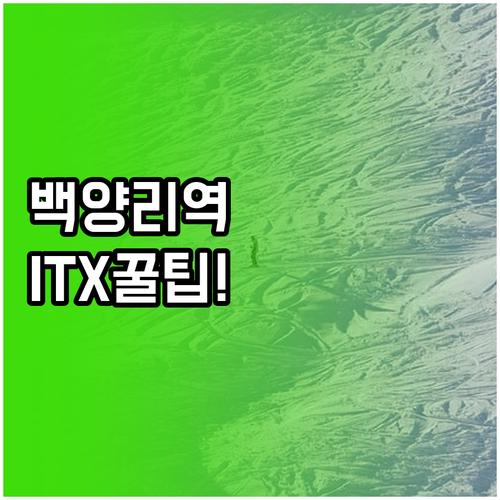 백양리역 열차 배차 간격 및 스키 시..