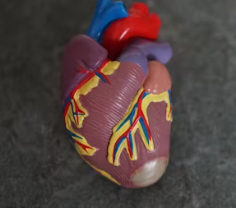 고혈압 증상 원인 예방법 생활습관