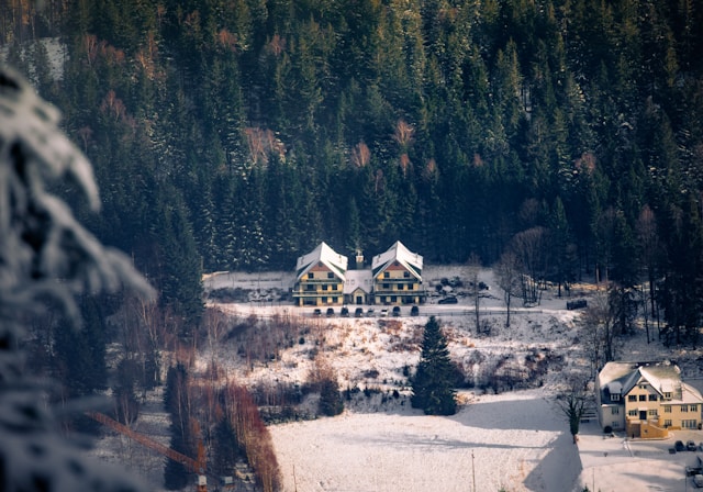 엘리시안 강촌 렌탈샵 의류 상태 비교 추천