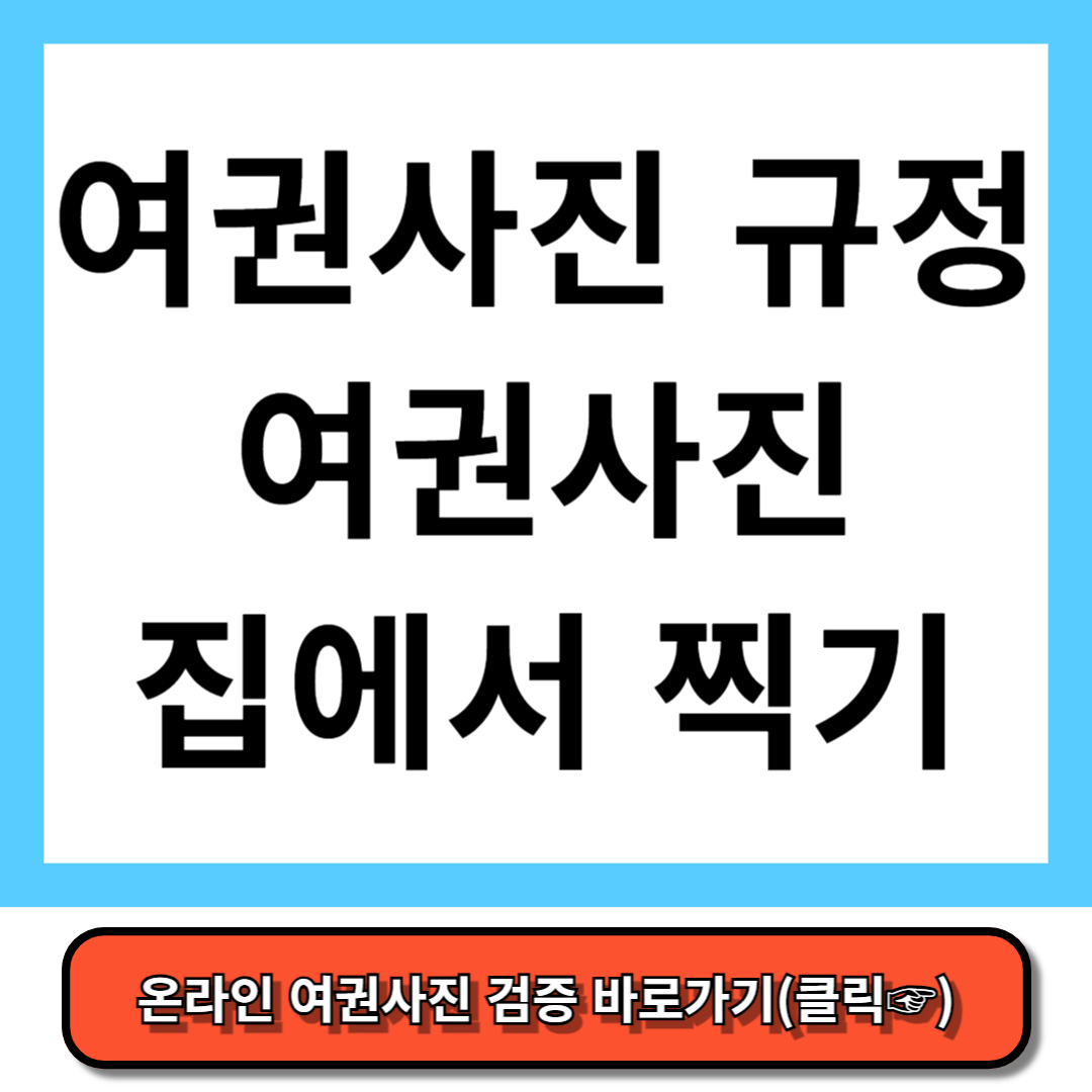 여권사진 규정 여권사진 집에서 찍기 완벽정리