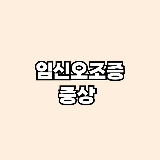 임신오조증 증상