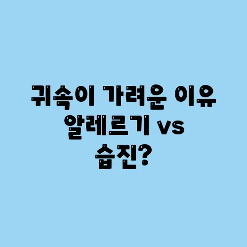 귀속이 가려운 이유 알레르기 vs 습진?
