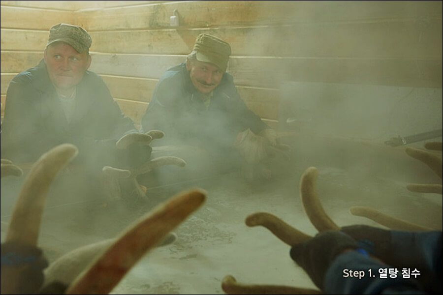 구전녹용 효능 가격 정보 (임영웅 건강식품)