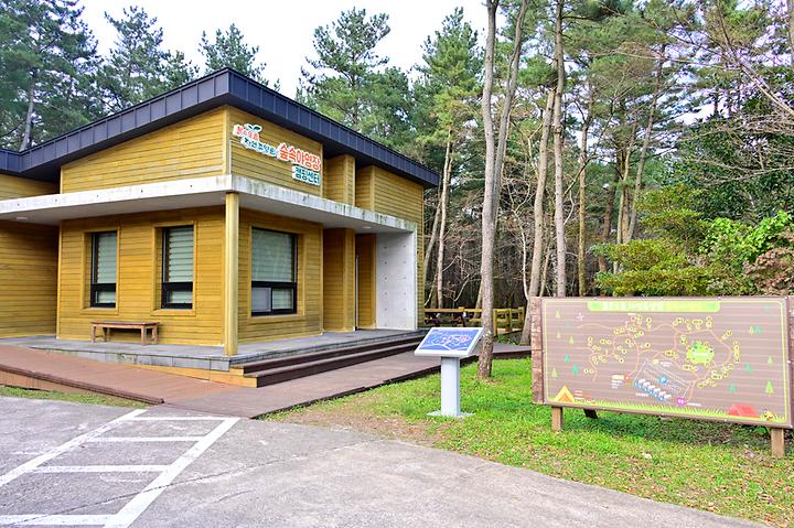 제주 붉은오름 자연휴양림 숲속야영장