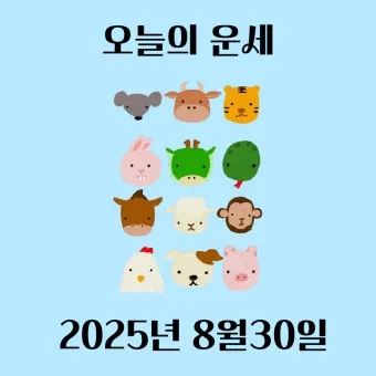 부산일보 오늘의 운세 띠별 운세와 무료 운세 이용법_21