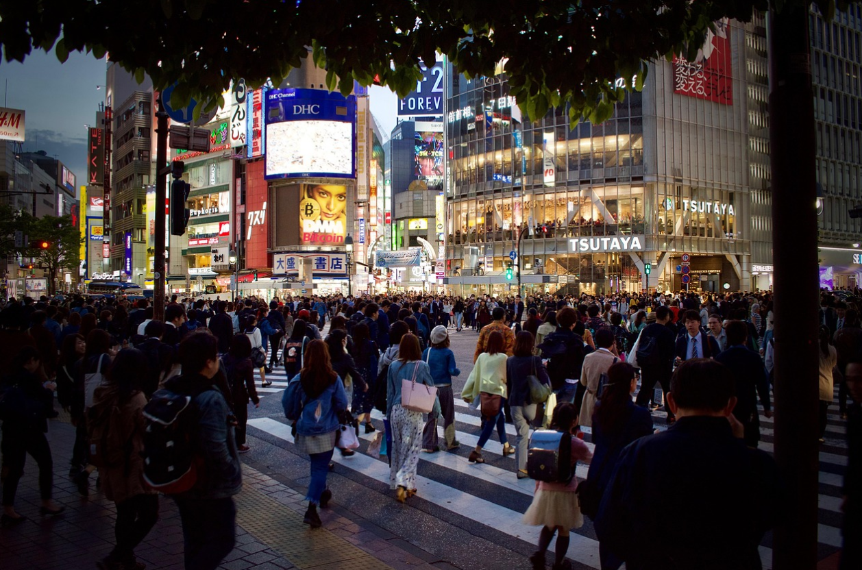 도쿄 자유여행 관련사진