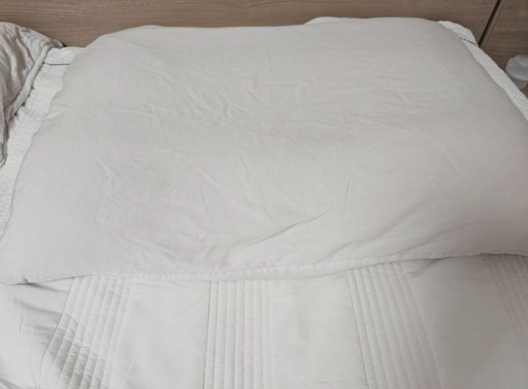 슬리피노 모모베개 내돈내산 후기