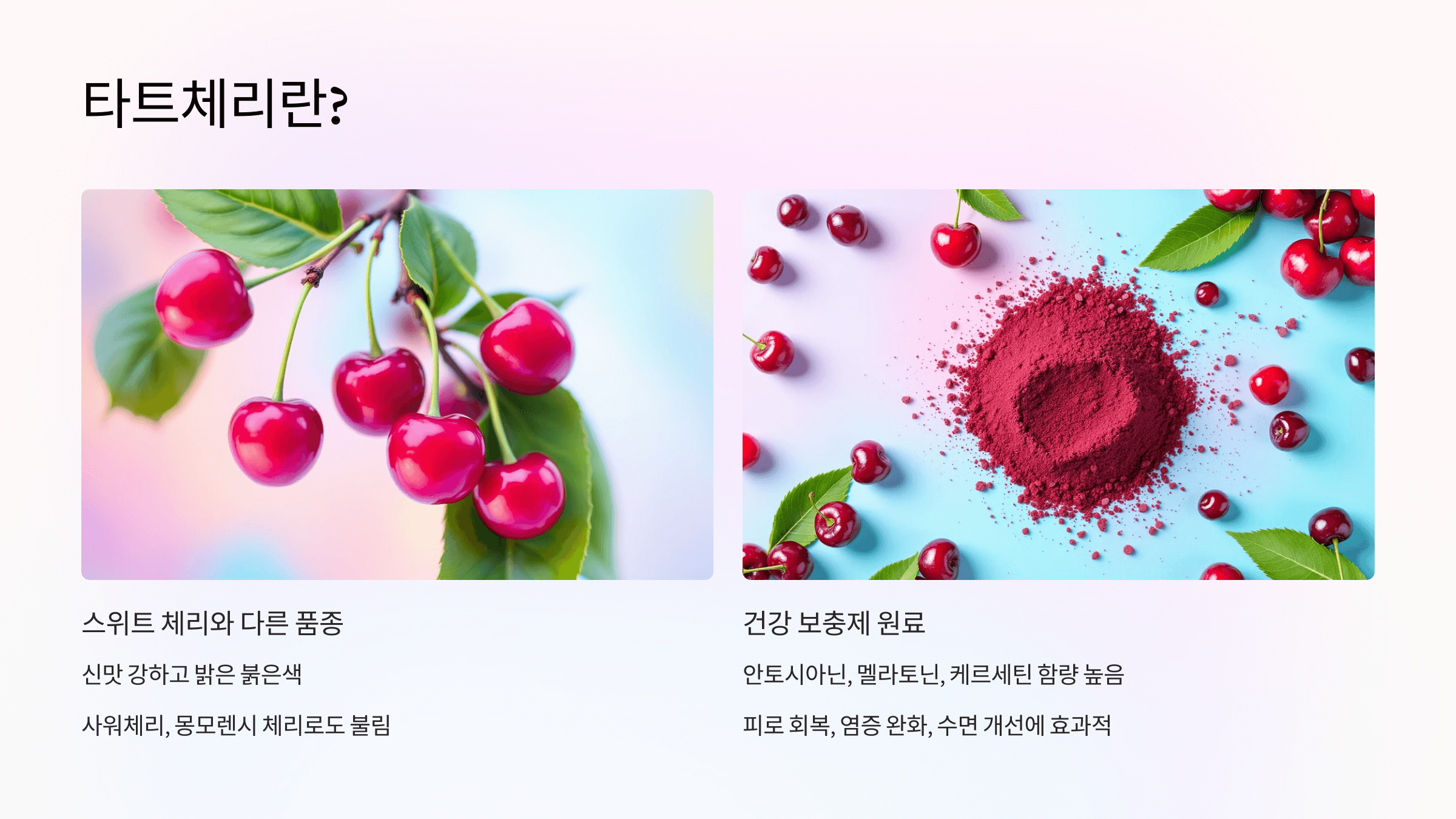 타트체리 사진입니다.