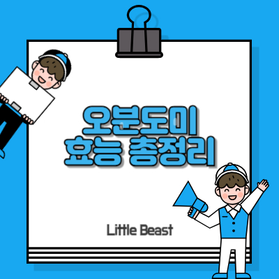 오분도미 효능 썸네일