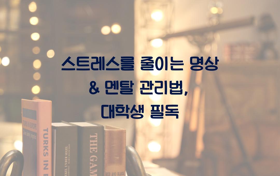 스트레스를 줄이는 명상 & 멘탈 관리법 (대학생 필독)
