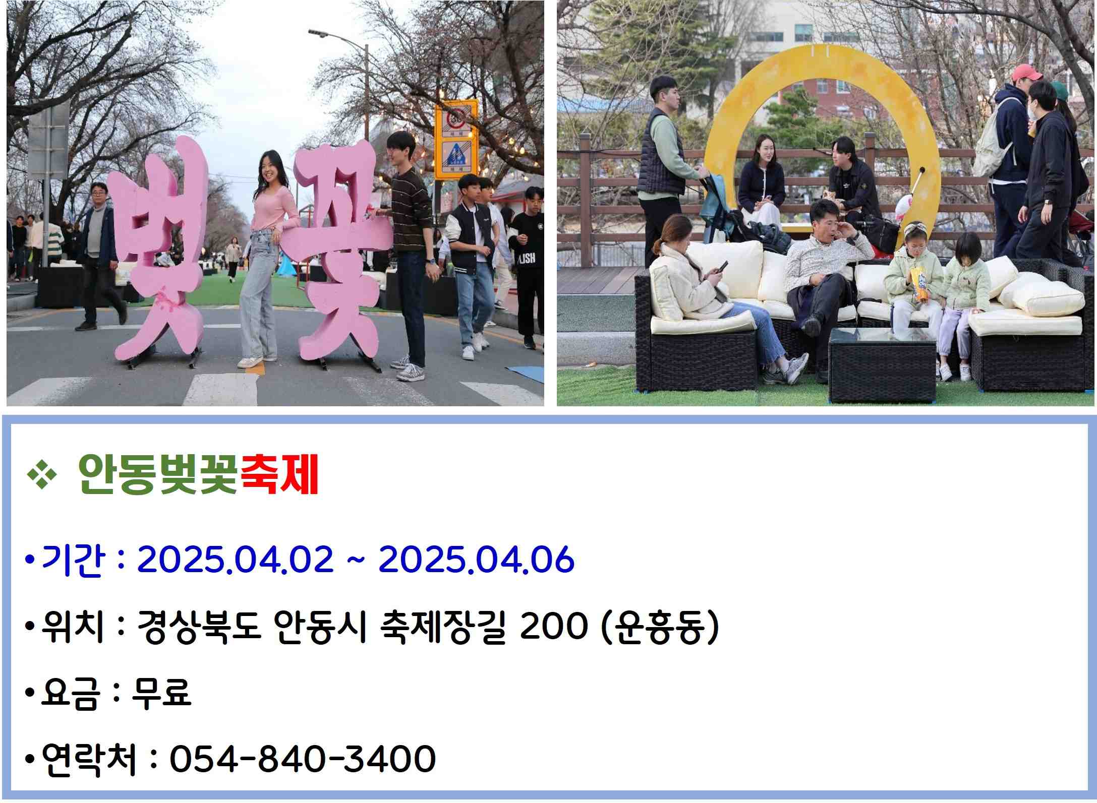 안동벚꽃축제