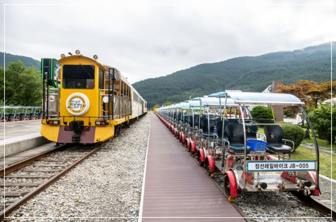 정선 가볼만한곳 베스트10 정선 레일바이크