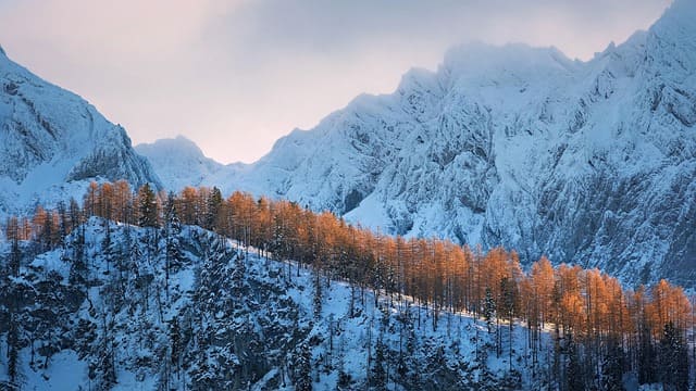 햇살론유스조건