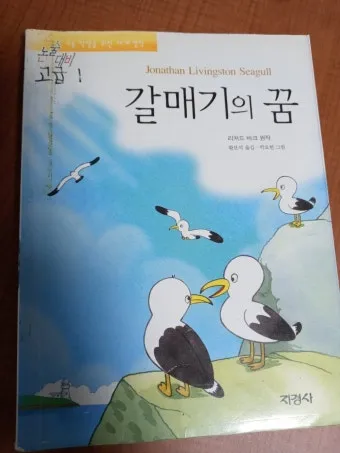 갈매기의 꿈 줄거리 자기초월 우화 리처드 바크_14