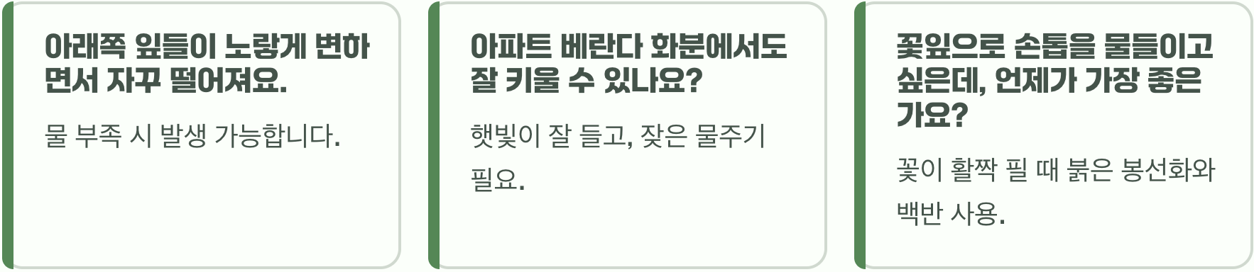 봉선화 씨앗부터 꽃까지 키우기 A to Z (파종, 물주기, 관리법 총정리)