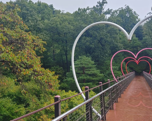 경기도 단풍 명소 곤지암 화담숲