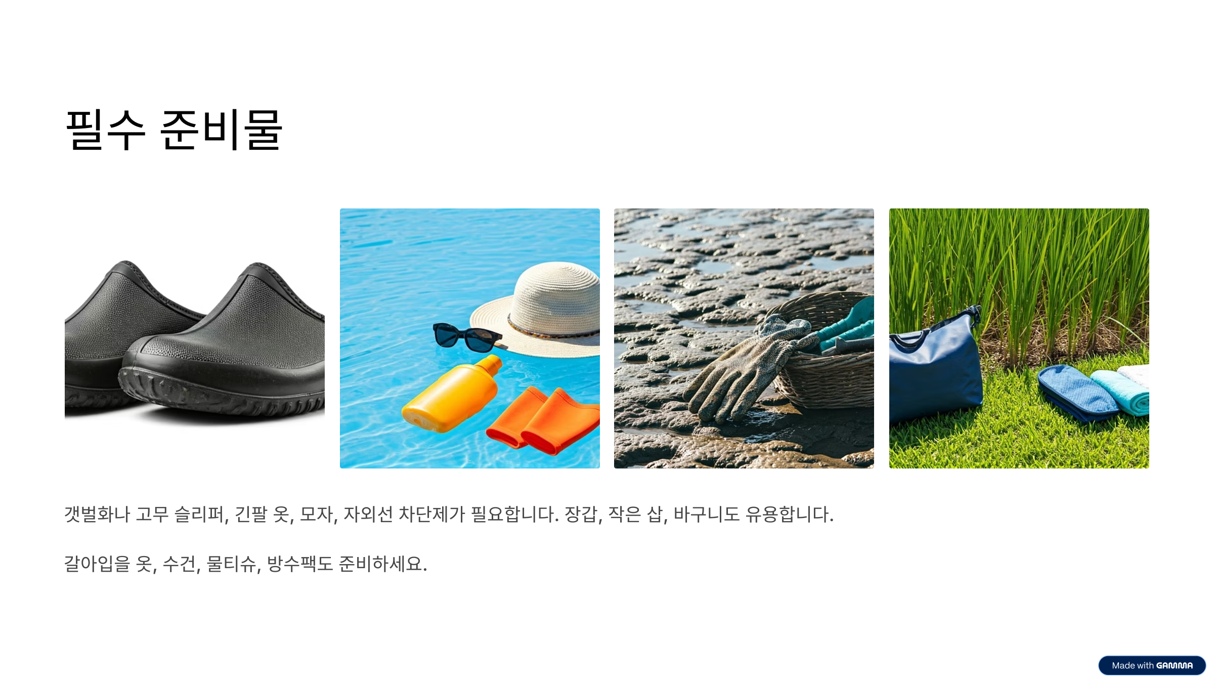 선유도 갯벌 체험 시간표 총정리 가족과 함께 즐기는 자연 체험 여행