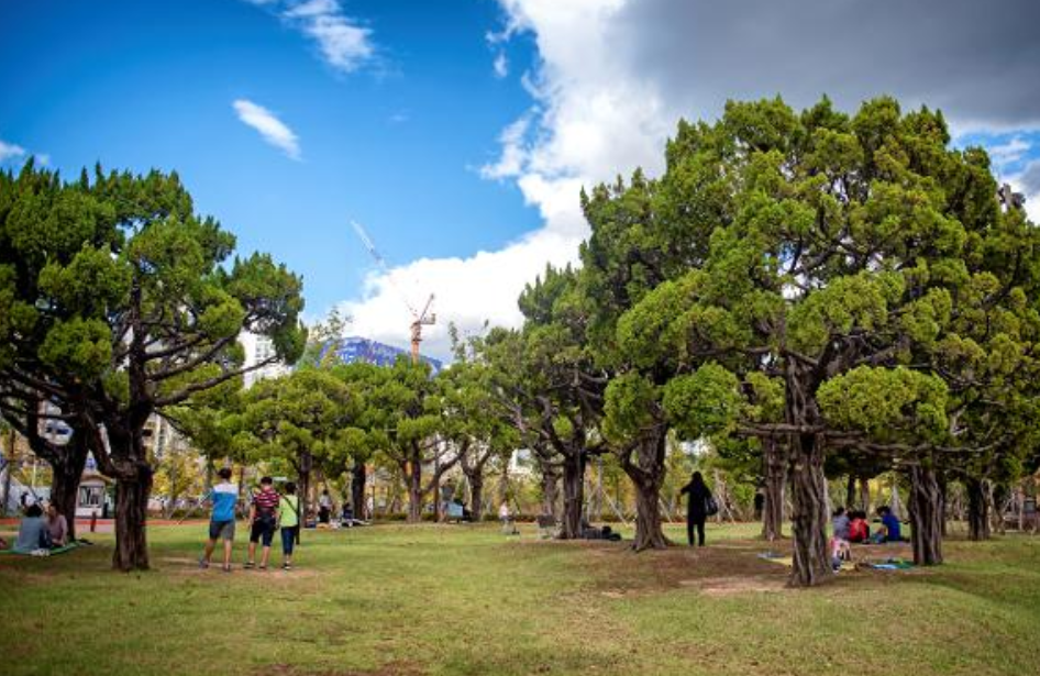 부산 가볼만한곳 베스트10