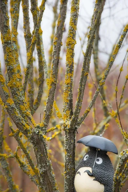 박토토 뜻 박충섭 시네마천국 뜻_1