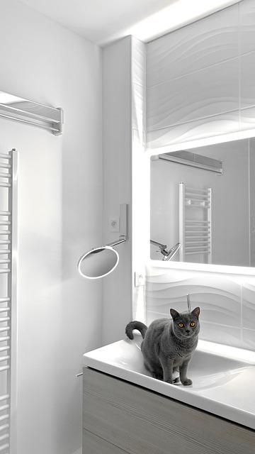 에어비앤비 호스트 등록 및 숙박 운영법 누구나 수익 만드는 현실 가이드