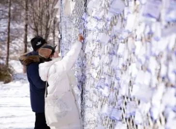 태백산-눈축제-일정-프로그램-시간표
