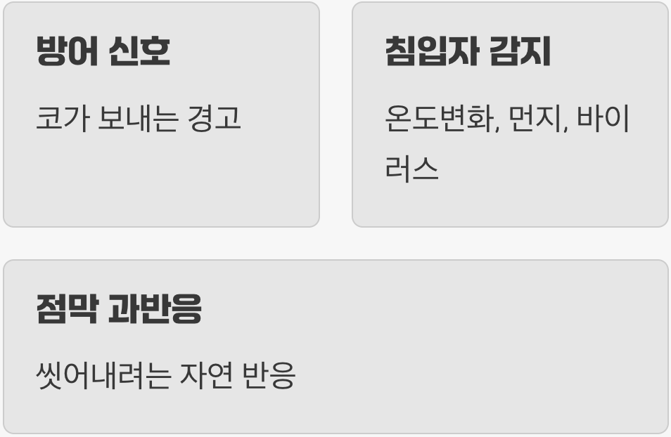 왜 갑자기 콧물이 흐를까?