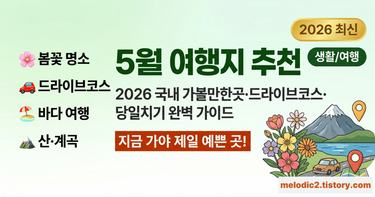 2026 5월 여행지 추천 국내 가볼만한곳 드라이브코스 총정리